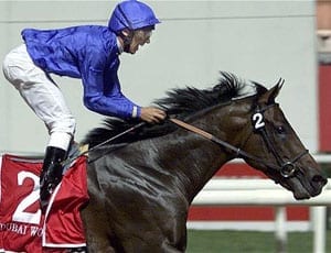 Stabling Frankie