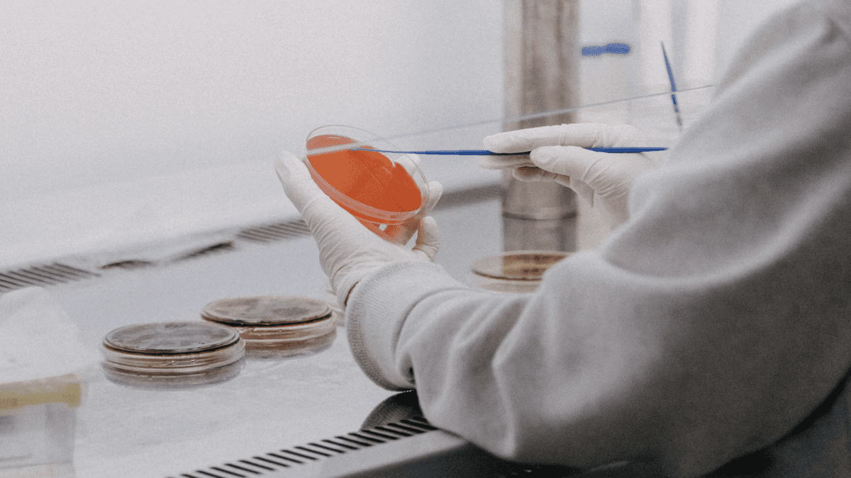 The Properties of Peptides